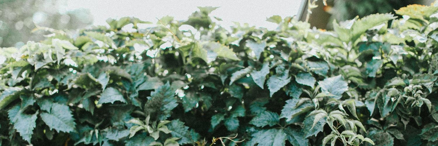 digitalyssa's profile banner image