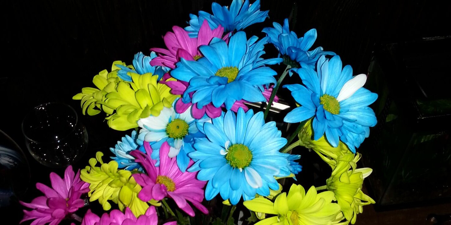 khand19832's profile banner image