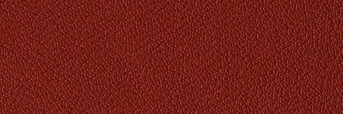 obnoxious_boy's profile banner image