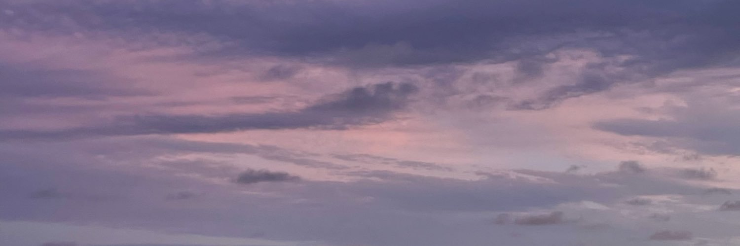 lizeeth's profile banner image