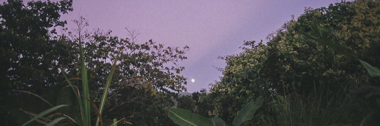 partofziall's profile banner image