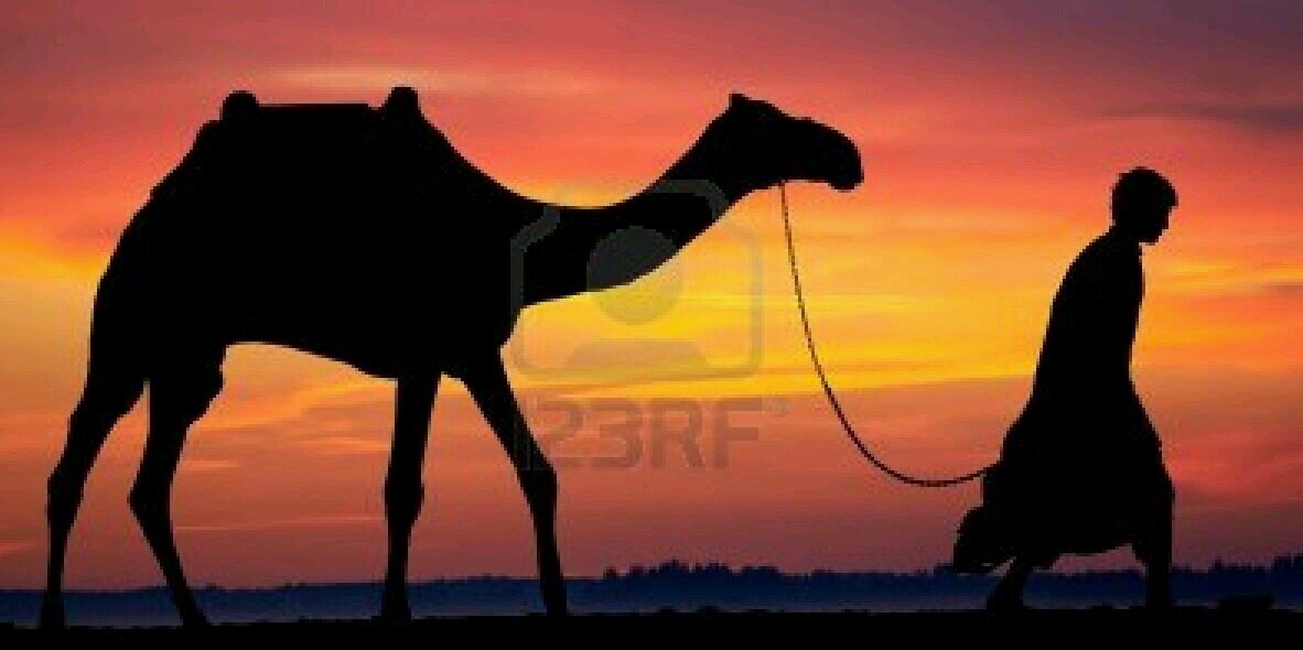 OnlyIfYoureArab's profile banner image