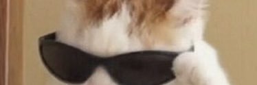 MBonnain's profile banner image