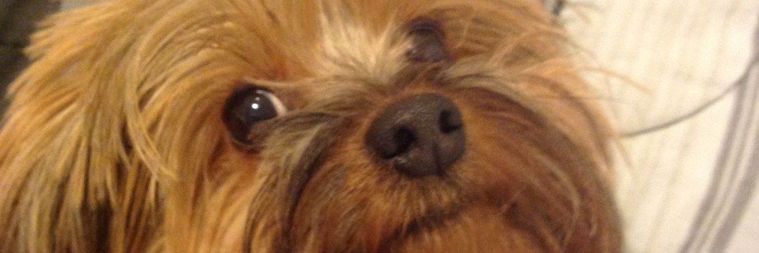 JCADavila's profile banner image