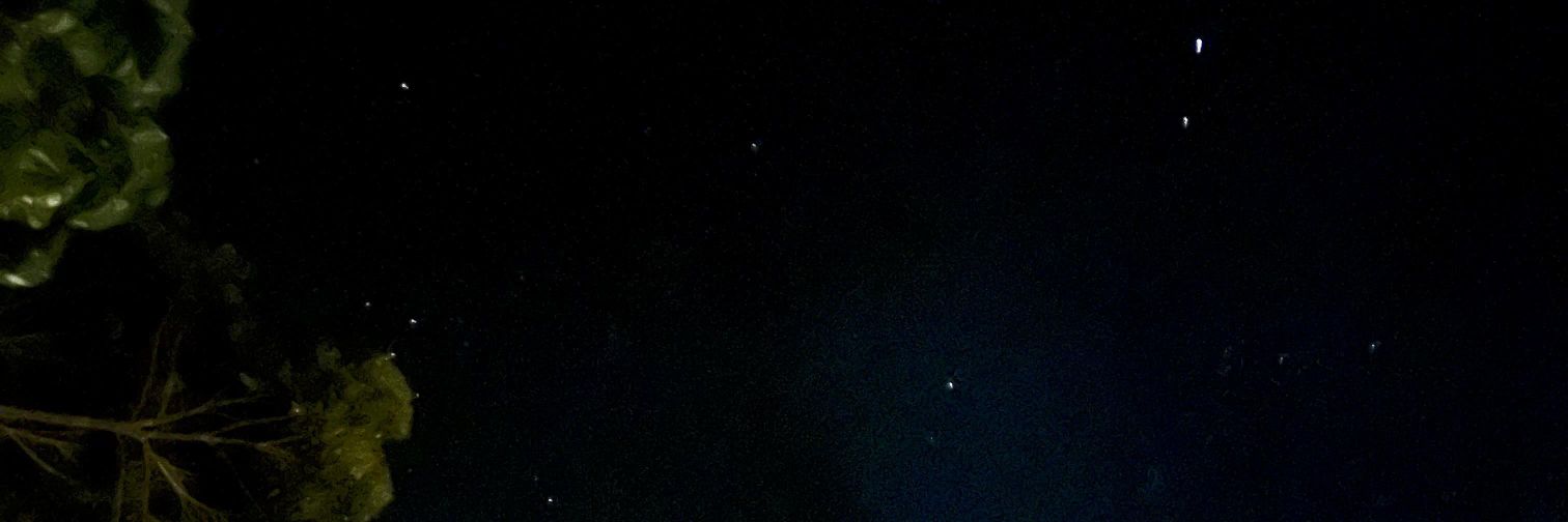 lm2_3's profile banner image