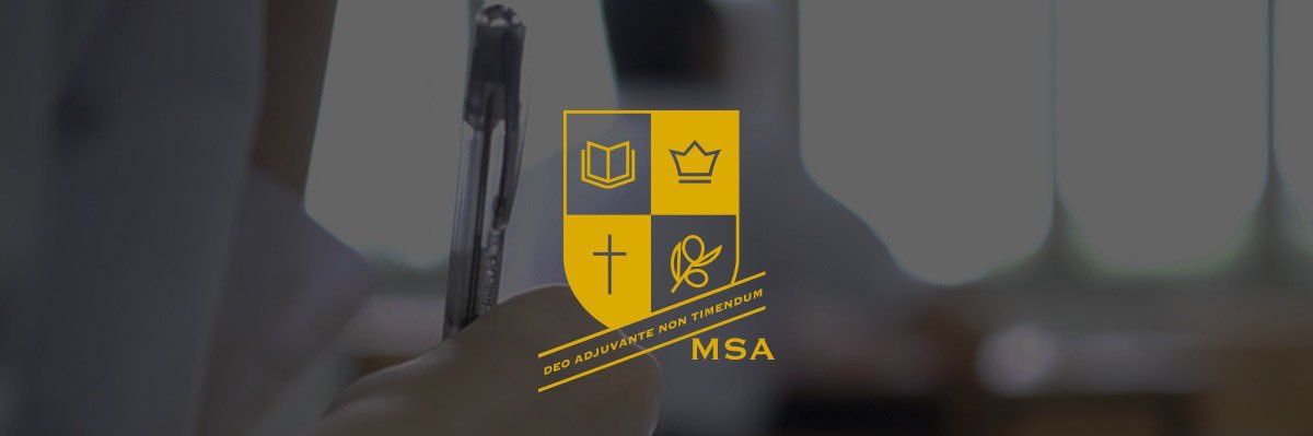 msaeigo's profile banner image