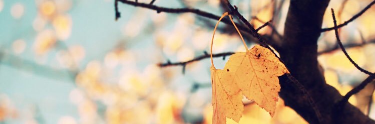 m50232345's profile banner image