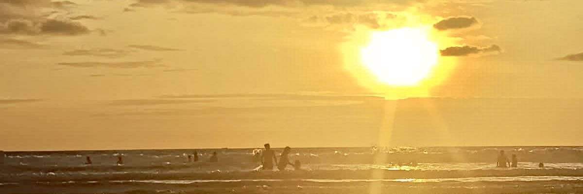 AlejandraMC__'s profile banner image