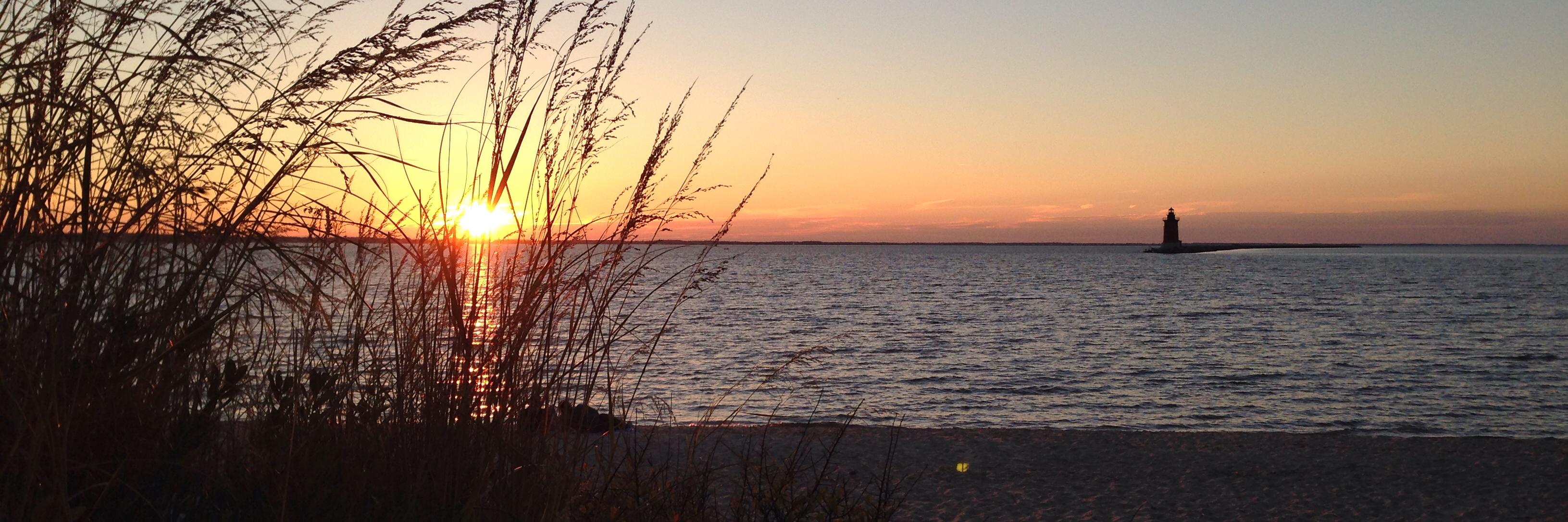 DE Dept of Insurance banner