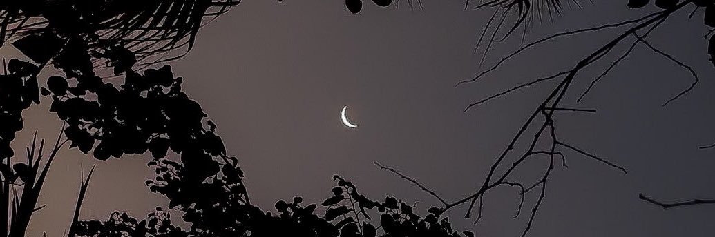 vlxir_'s profile banner image