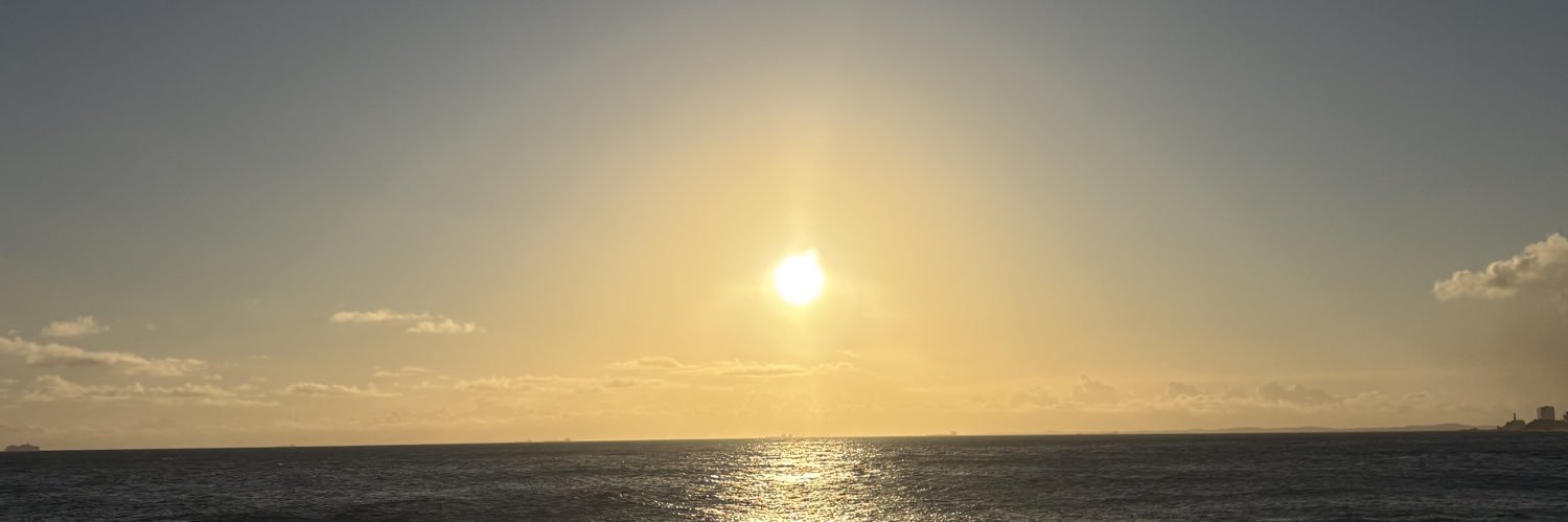 denisedsg's profile banner image