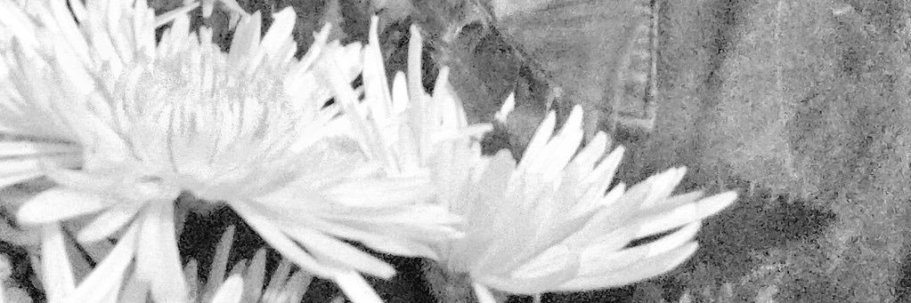 🧍🏻 banner