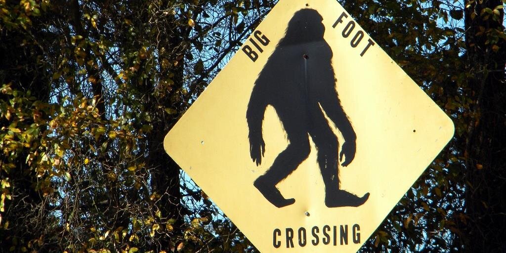 GeoSquatchin's profile banner image