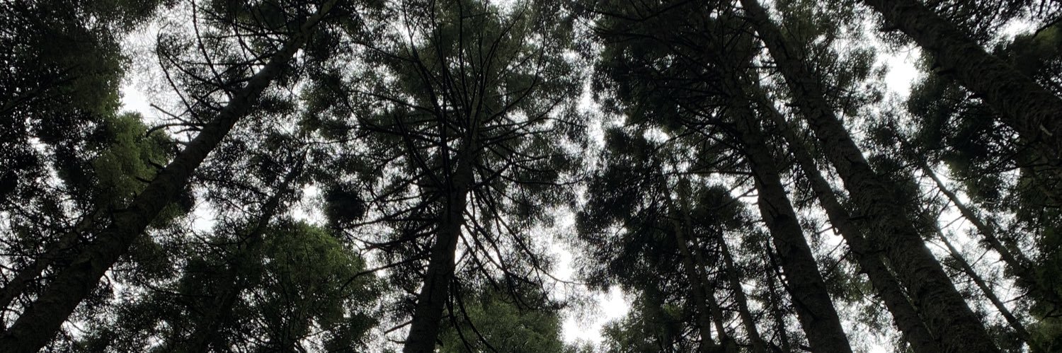 marla_be's profile banner image