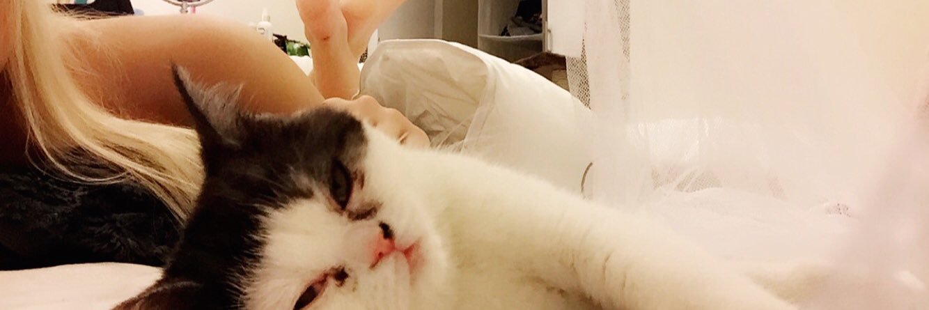 MeredithVliet's profile banner image