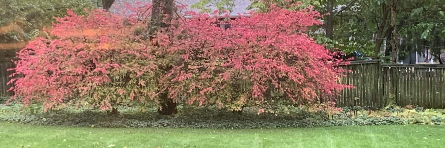 davep00p's profile banner image
