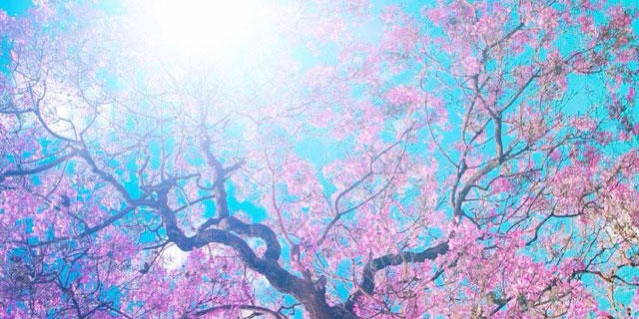 LibHasenwinkel's profile banner image