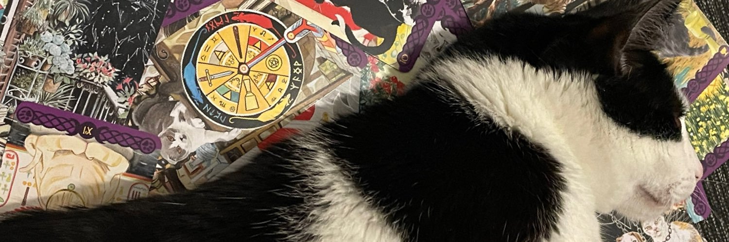 fmorisan's profile banner image