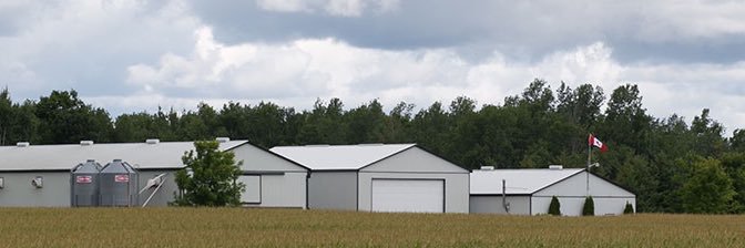 Sargent Farms banner