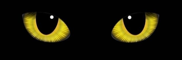 KDR0driguez's profile banner image