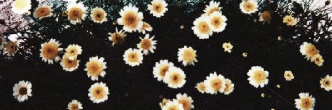 crystaljanee43's profile banner image