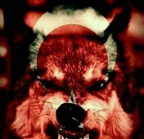 abidindersiniz's profile banner image