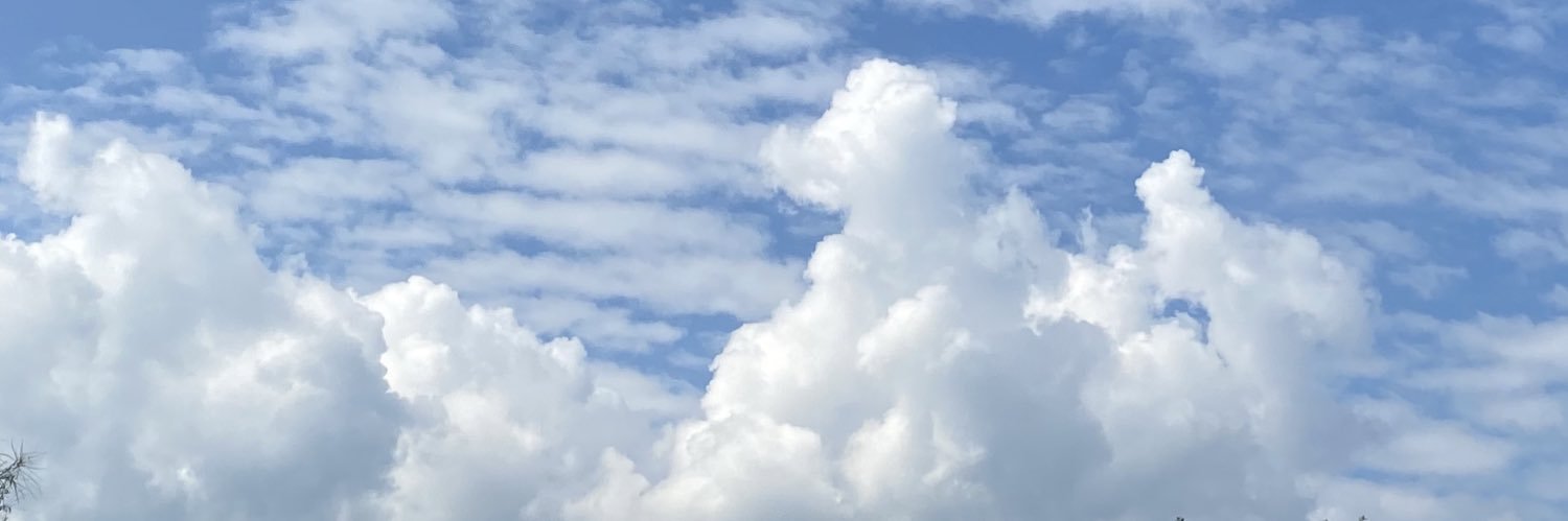 mariferaf's profile banner image