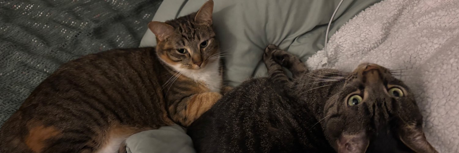 sarabbbb4's profile banner image