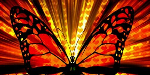 MissLdyP's profile banner image