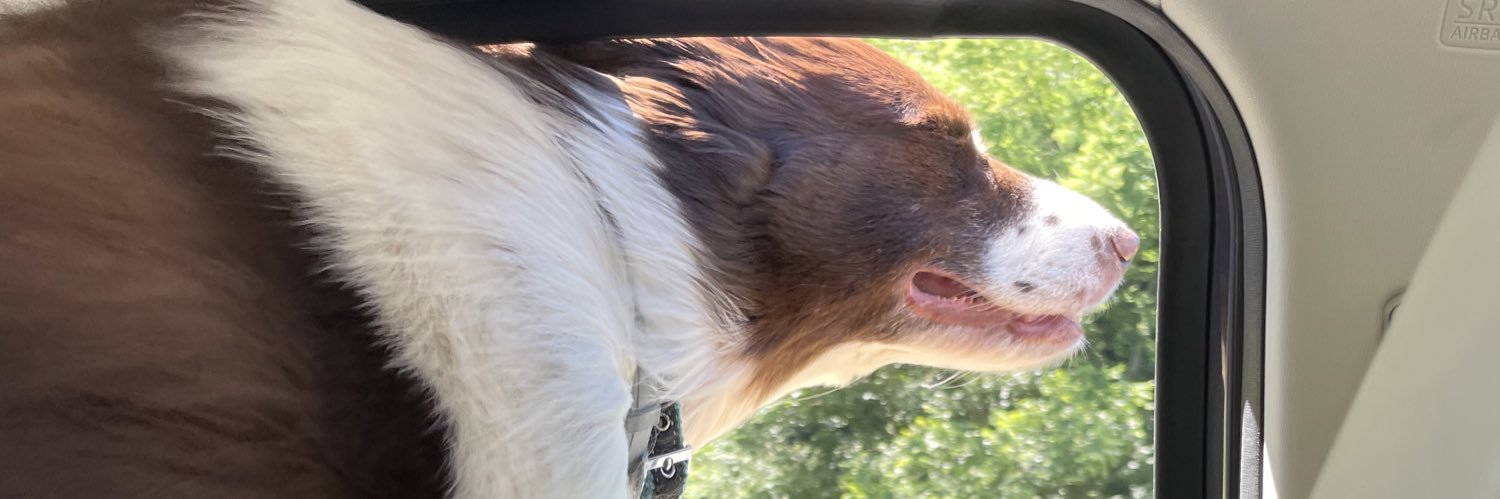 Jaygoooo's profile banner image