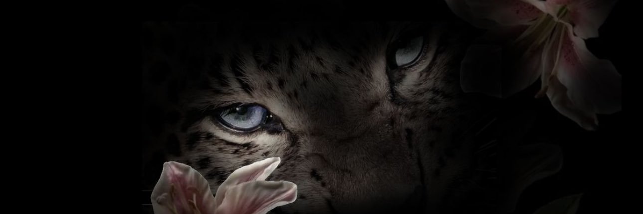Kaaaaaayb's profile banner image