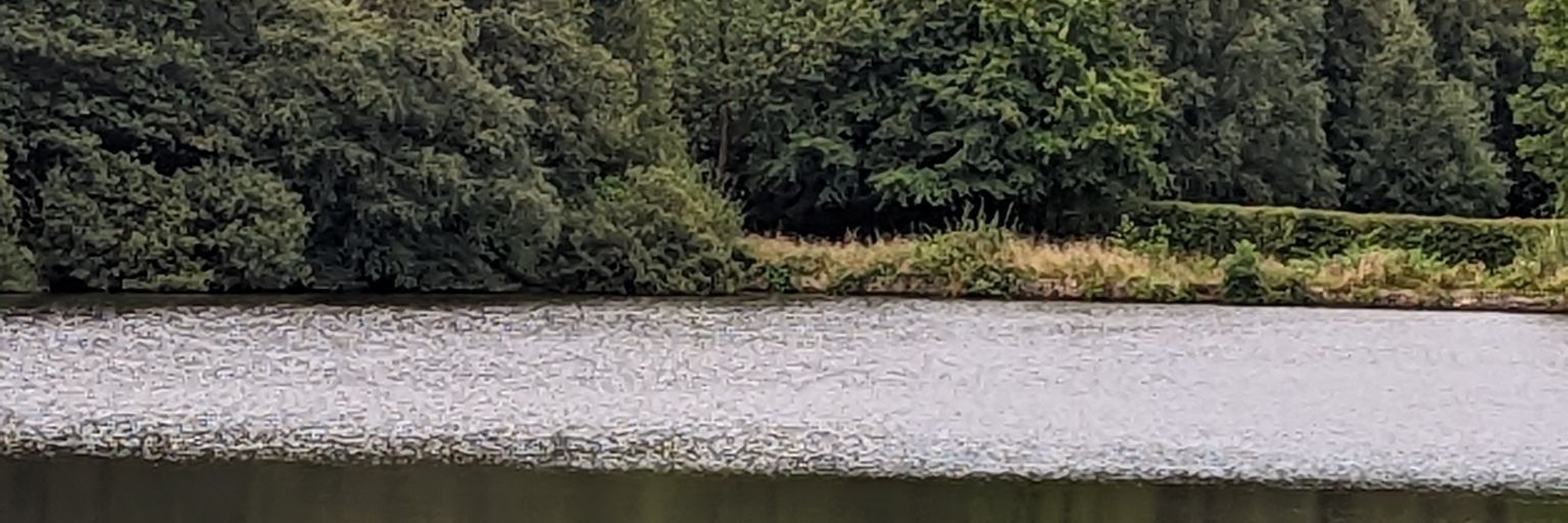 QuothTheRaven banner