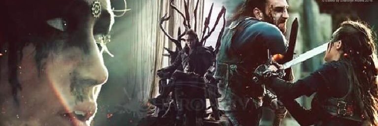 eliiz_machado's profile banner image