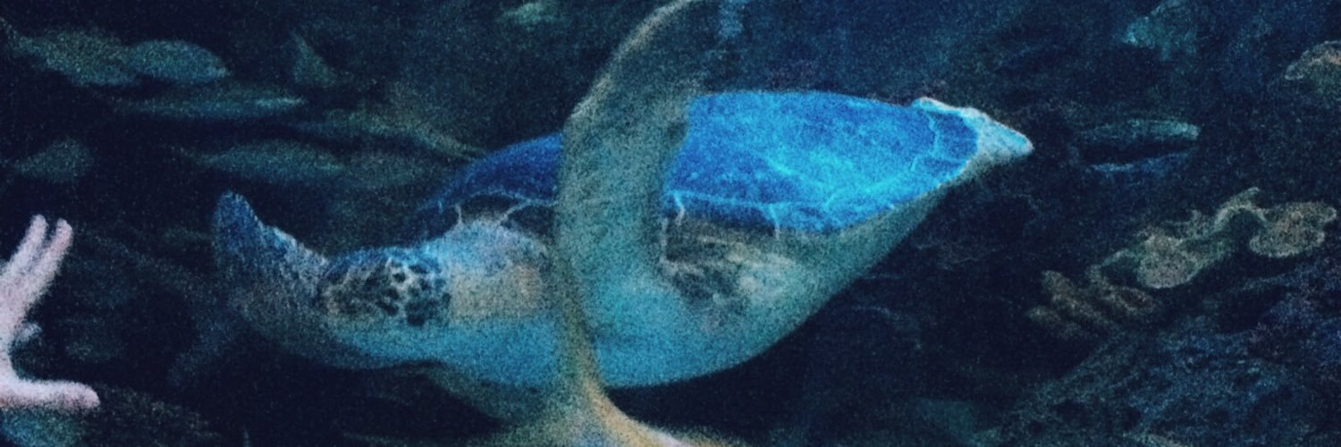 adenapersaudd's profile banner image