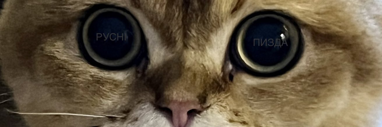anorets's profile banner image