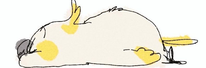 ace_ehz's profile banner image
