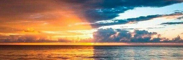 TonyS_5's profile banner image