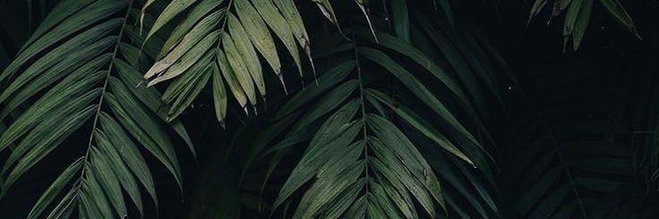 PaulaOV30's profile banner image