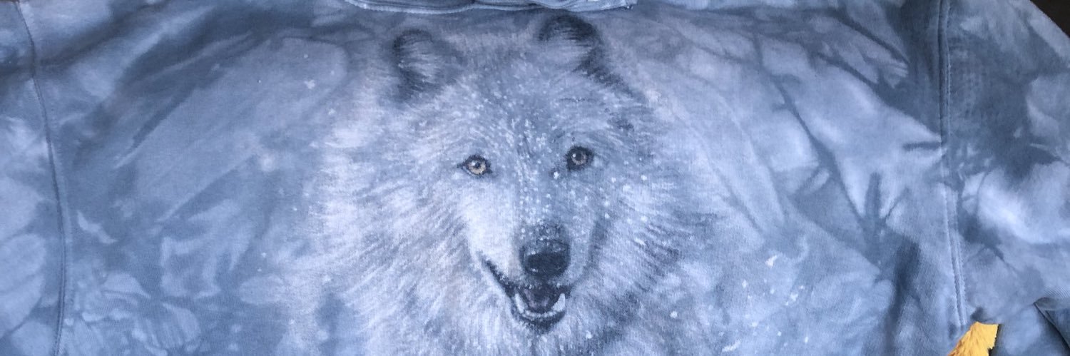 dstair1's profile banner image