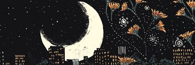 Brute_XIV's profile banner image