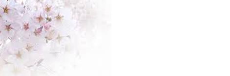 ともよ banner