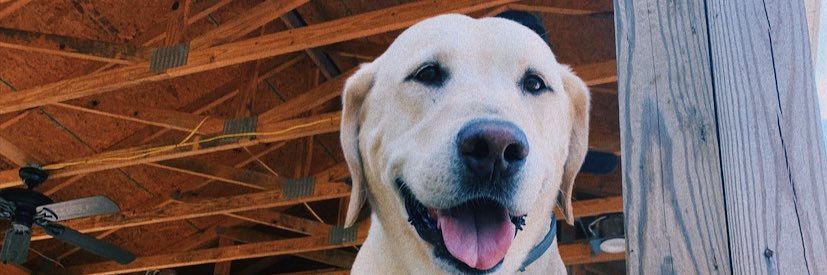 Emma 🫶🏼 banner