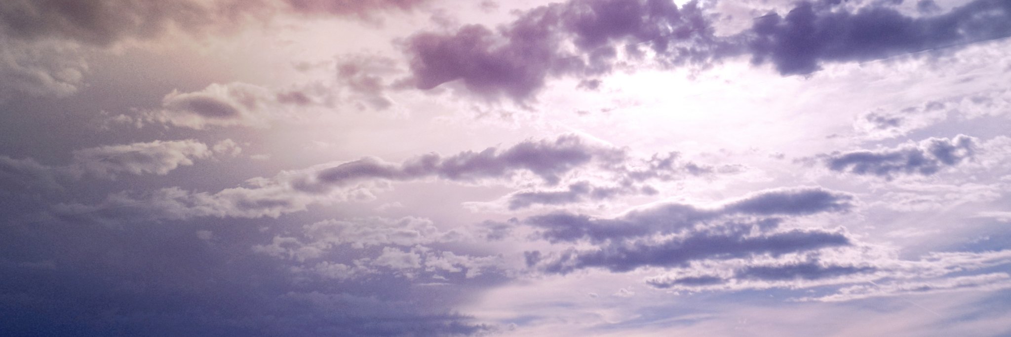 Izzy banner
