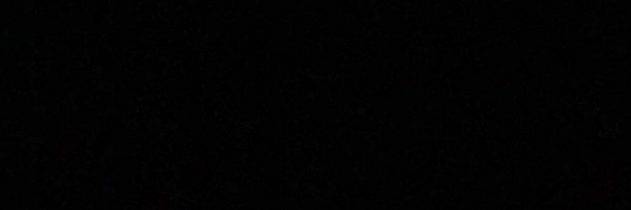 dianaleilee's profile banner image