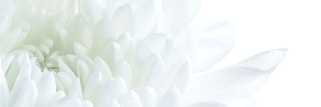 its_jdo's profile banner image