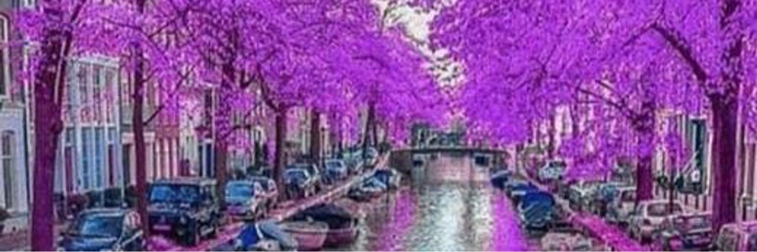 نـور banner