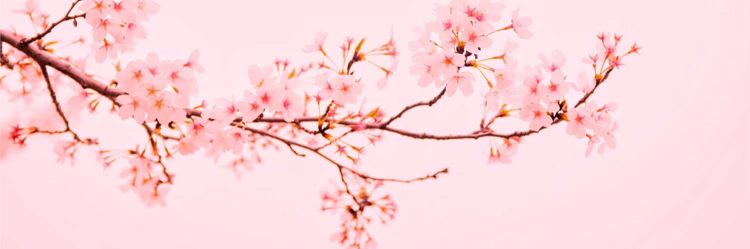 moonthesis's profile banner image