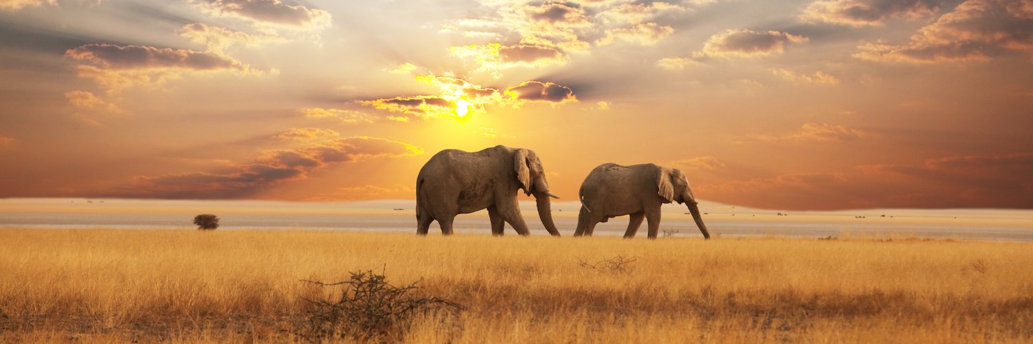 MindProjectLtd's profile banner image