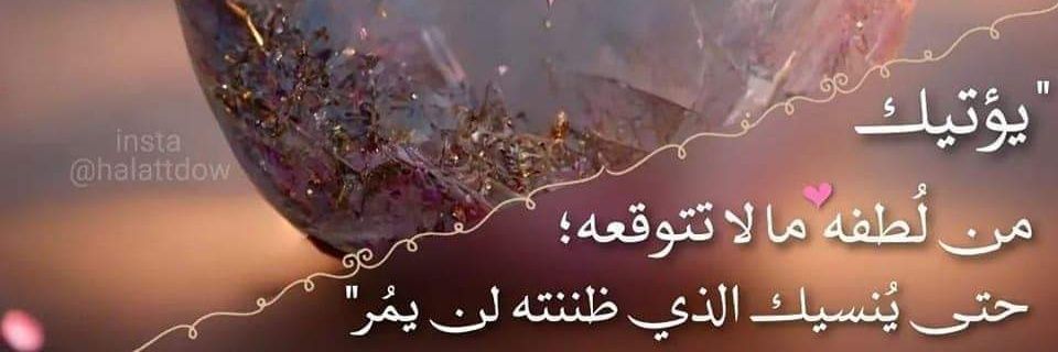 amr2202005's profile banner image