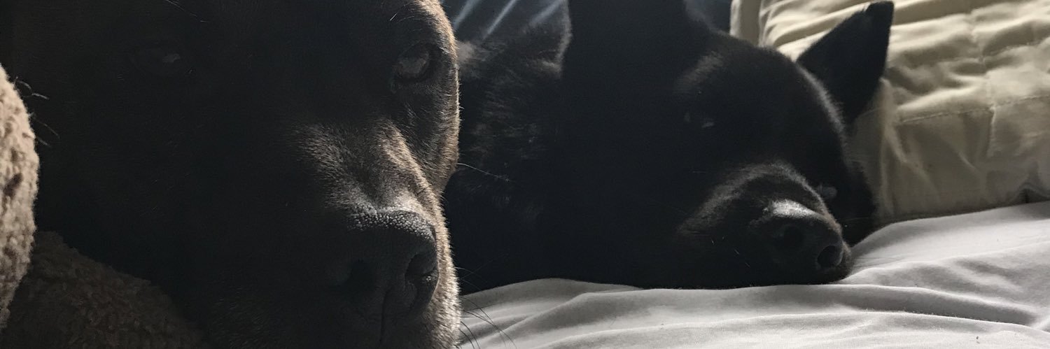 Brendan Quealy banner